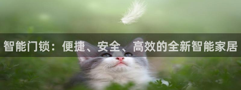 利记官网官方网址：智能门锁：便捷、安全、高效的全新智能家居
