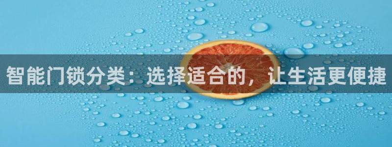利记游戏官网：智能门锁分类：选择适合的，让生活更便捷