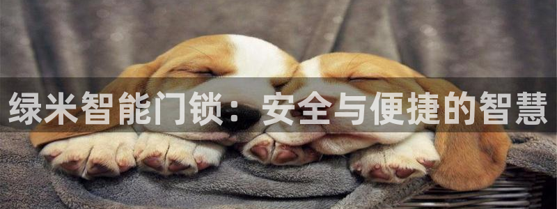 利记坊官网注册账号申请：绿米智能门锁：安全与便捷的智慧