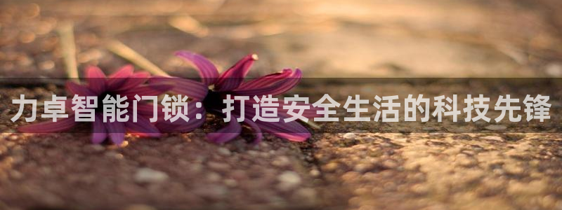 万利记唯一官网：力卓智能门锁：打造安全生活的科技先锋