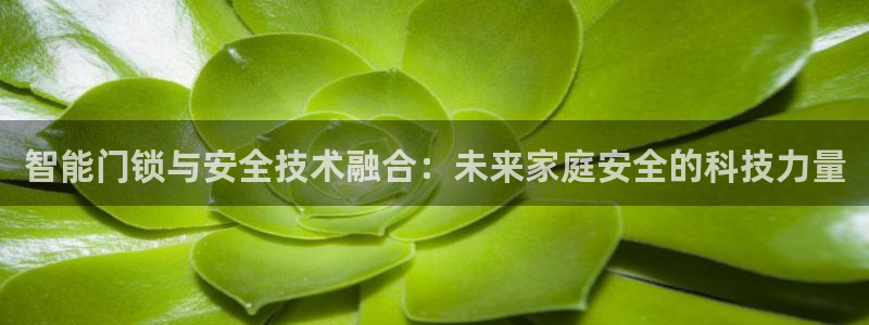 铂利记旗舰店官网电话