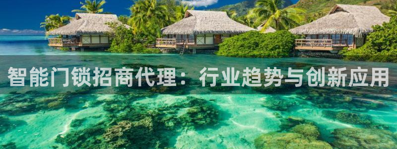 利记app官网真人游戏：智能门锁招商代理：行业趋势与创新应用