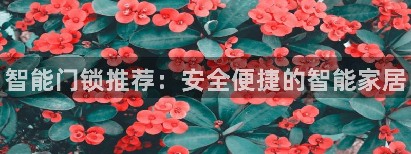 利记平台官网：智能门锁推荐：安全便捷的智能家居