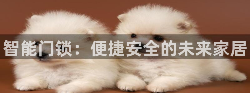利记手机官网电子mg官方网站：智能门锁：便捷安全的未来家居
