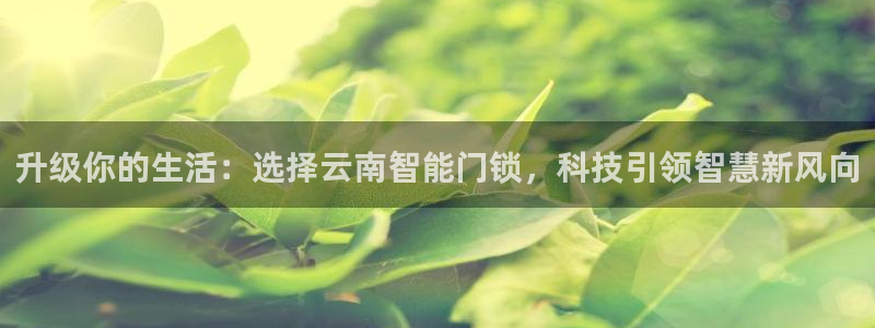 利记网官网：升级你的生活：选择云南智能门锁，科技引领智慧新风