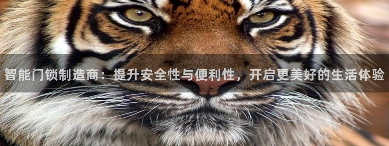 利记娱乐网唯一官网：智能门锁制造商：提升安全性与便利性，开启