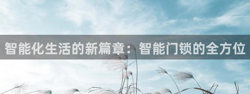 香港利记集团官网：智能化生活的新篇章：智能门锁的全方位