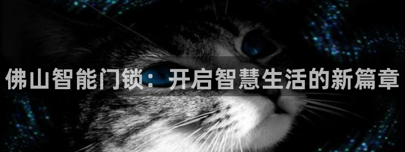 利记手机官网入口：佛山智能门锁：开启智慧生活的新篇章