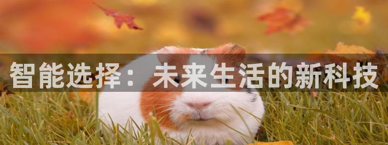 利记彩票平台官网：智能选择：未来生活的新科技