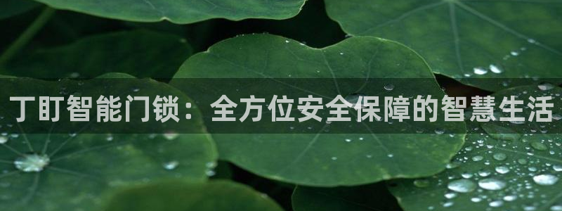 利记真的官网：丁盯智能门锁：全方位安全保障的智慧生活