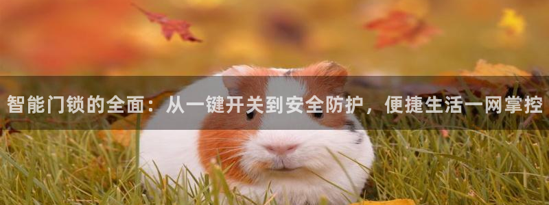 大利来记官网：智能门锁的全面：从一键开关到安全防护，便捷生活