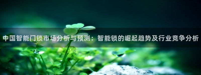利记体育投注官网：中国智能门锁市场分析与预测：智能锁的崛起趋