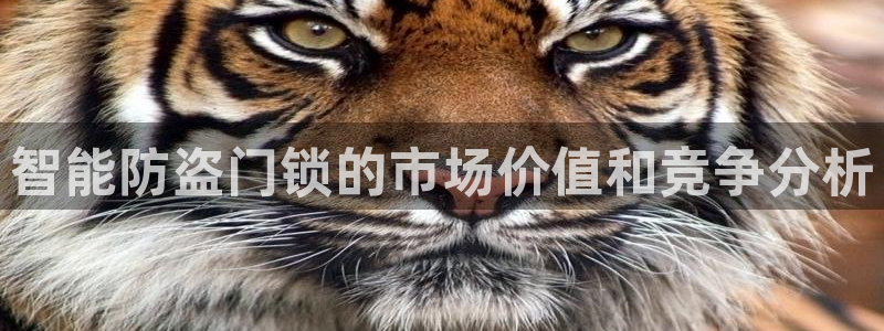 香港利记集团官网招聘：智能防盗门锁的市场价值和竞争分析