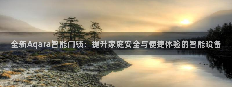 利记国际有限公司官网：全新Aqara智能门锁：提升家庭安全与