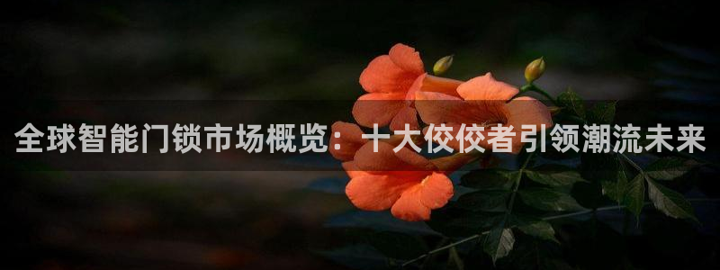 利记体育投注官网：全球智能门锁市场概览：十大佼佼者引领潮流未