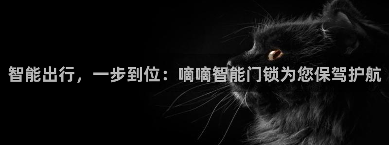 利记平台官网：智能出行，一步到位：嘀嘀智能门锁为您保驾护航