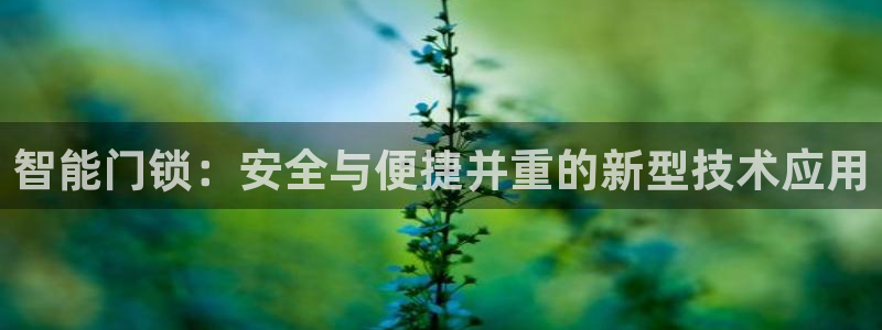 利记体育app官网：智能门锁：安全与便捷并重的新型技术应用