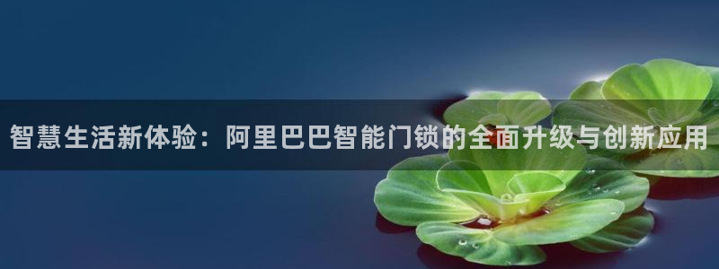 香港利记集团官网招聘：智慧生活新体验：阿里巴巴智能门锁的全面