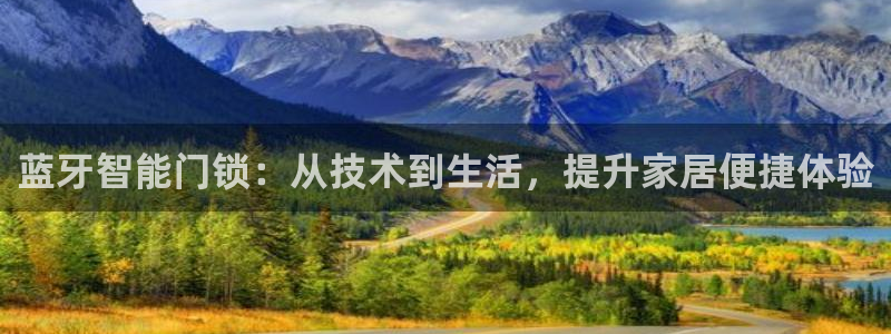 利记体育投注官网：蓝牙智能门锁：从技术到生活，提升家居便捷体
