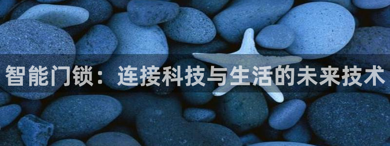 利记官网日亚运比：智能门锁：连接科技与生活的未来技术