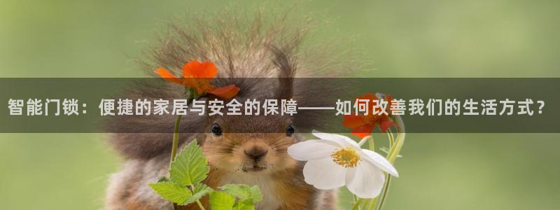 新利记官网：智能门锁：便捷的家居与安全的保障——如何改善我们