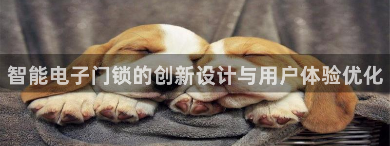 利记体育在线官网：智能电子门锁的创新设计与用户体验优化