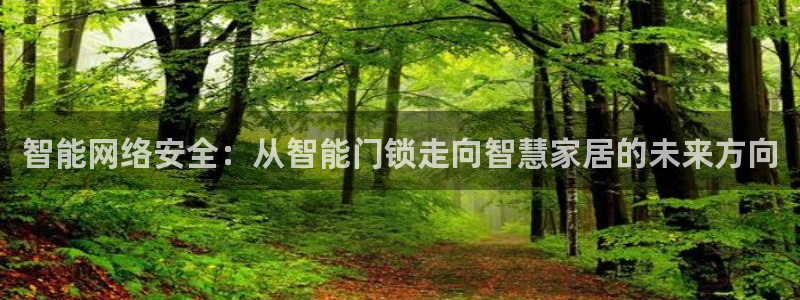 利记平台官网首页：智能网络安全：从智能门锁走向智慧家居的未来