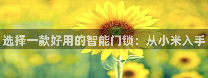 利记娱乐会员金钻官网：选择一款好用的智能门锁：从小米入手