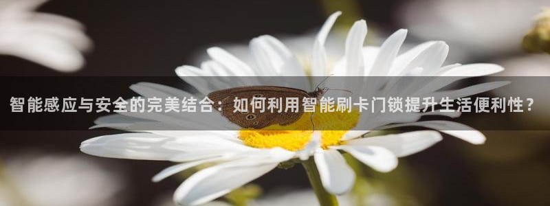 sbo利记体育官网注册：智能感应与安全的完美结合：如何利用智