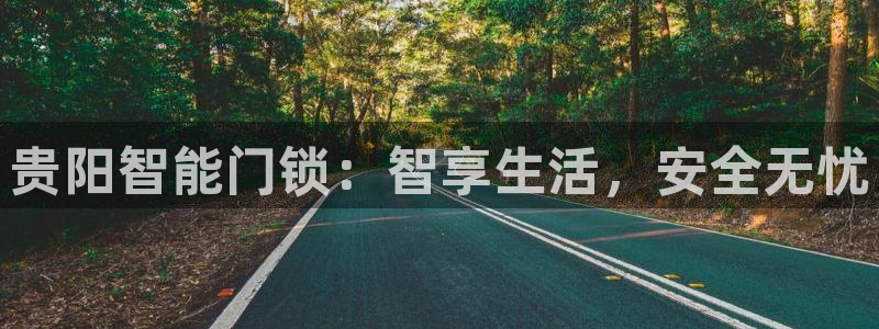 香港利记集团官网地址：贵阳智能门锁：智享生活，安全无忧
