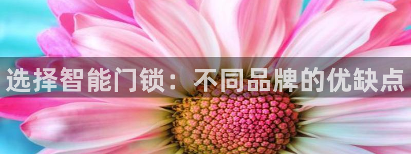 利记信誉官网：选择智能门锁：不同品牌的优缺点