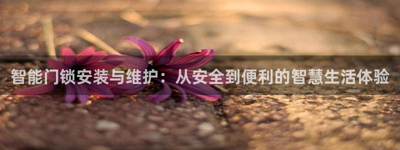 利记彩票官网hd71：智能门锁安装与维护：从安全到便利的智慧