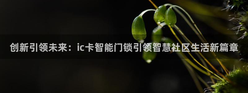 利记真正的官网是多少：创新引领未来：ic卡智能门锁引领智慧社