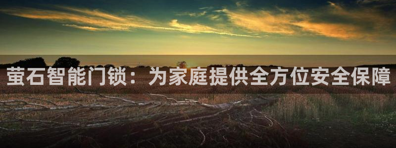 利记官网在线投注：萤石智能门锁：为家庭提供全方位安全保障
