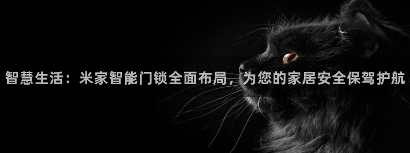 利记国际有限公司官网：智慧生活：米家智能门锁全面布局，为您的