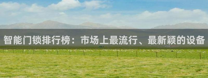 sbotop利记官网：智能门锁排行榜：市场上最流行、最新颖的