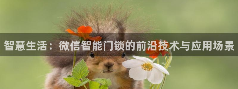 利记游戏开户ysb体育官方官网：智慧生活：微信智能门锁的前沿