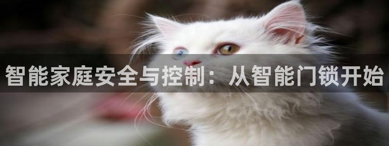 利记官网行业领导者：智能家庭安全与控制：从智能门锁开始
