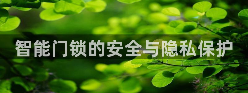 利记体育投注官网：智能门锁的安全与隐私保护