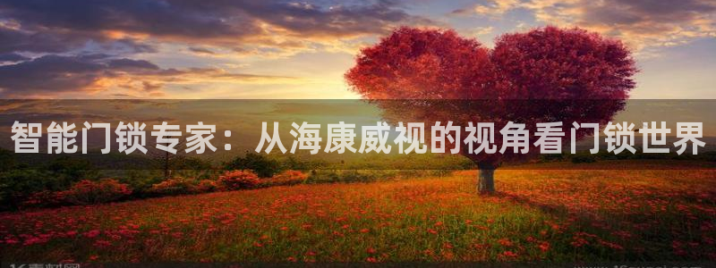 利记坊官网：智能门锁专家：从海康威视的视角看门锁世界