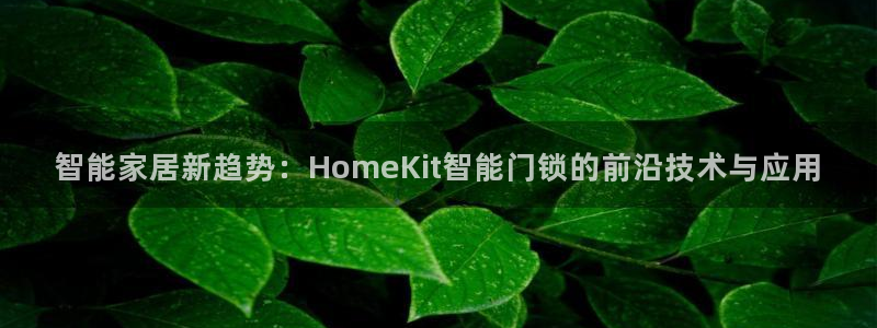利记网址注册官网：智能家居新趋势：HomeKit智能门锁的前