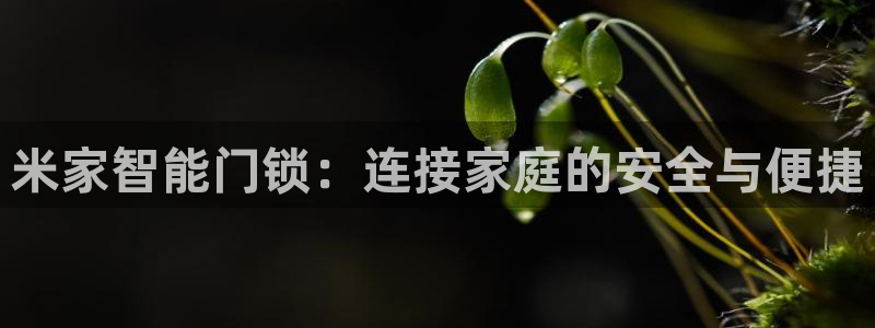 利记 官网：米家智能门锁：连接家庭的安全与便捷
