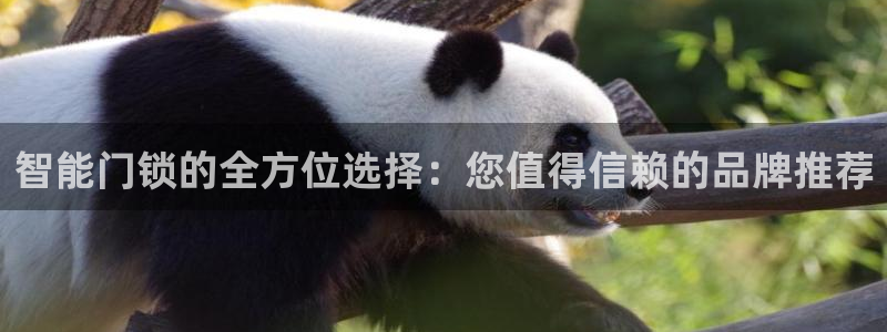 sbotop利记官网：智能门锁的全方位选择：您值得信赖的品牌