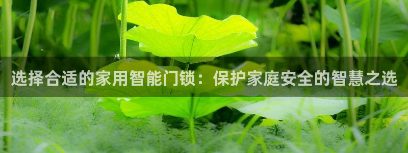 利记国际官网：选择合适的家用智能门锁：保护家庭安全的智慧之选