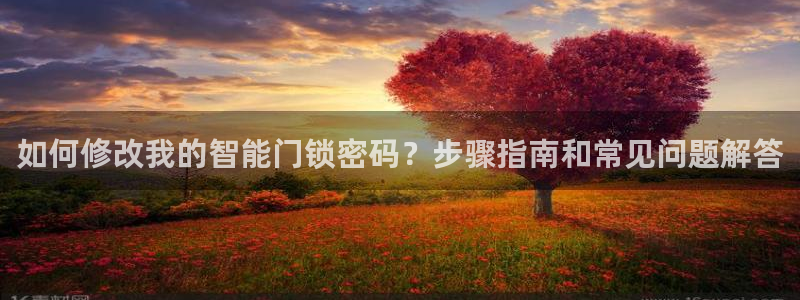 利记的官网：如何修改我的智能门锁密码？步骤指南和常见问题解答