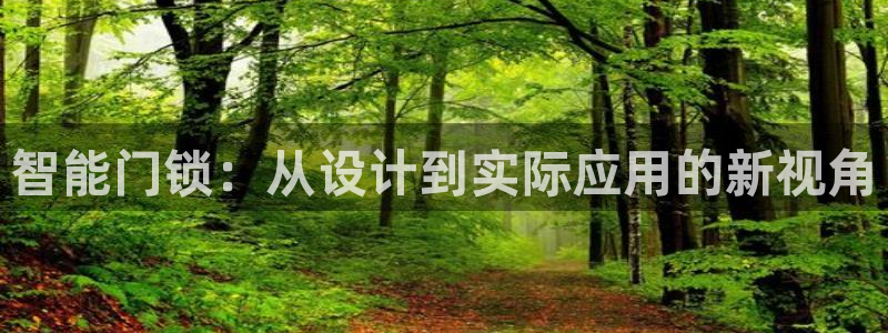 利记官网首页：智能门锁：从设计到实际应用的新视角