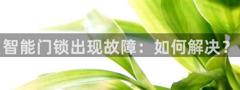 利记官网是真的吗：智能门锁出现故障：如何解决？