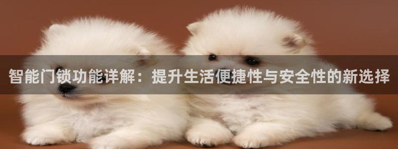 利记88官网app：智能门锁功能详解：提升生活便捷性与安全性
