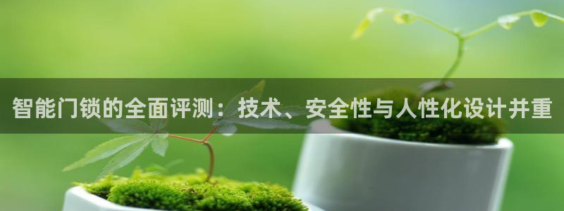 利记坊官网注册账号：智能门锁的全面评测：技术、安全性与人性化