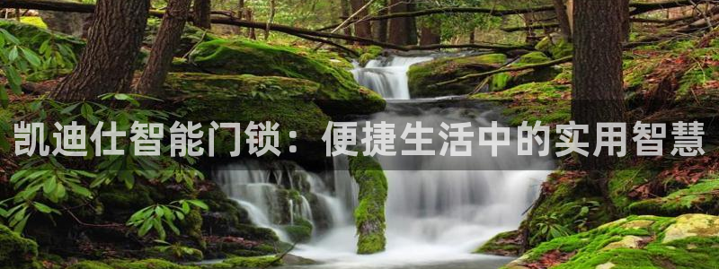 利记app官网入口：凯迪仕智能门锁：便捷生活中的实用智慧